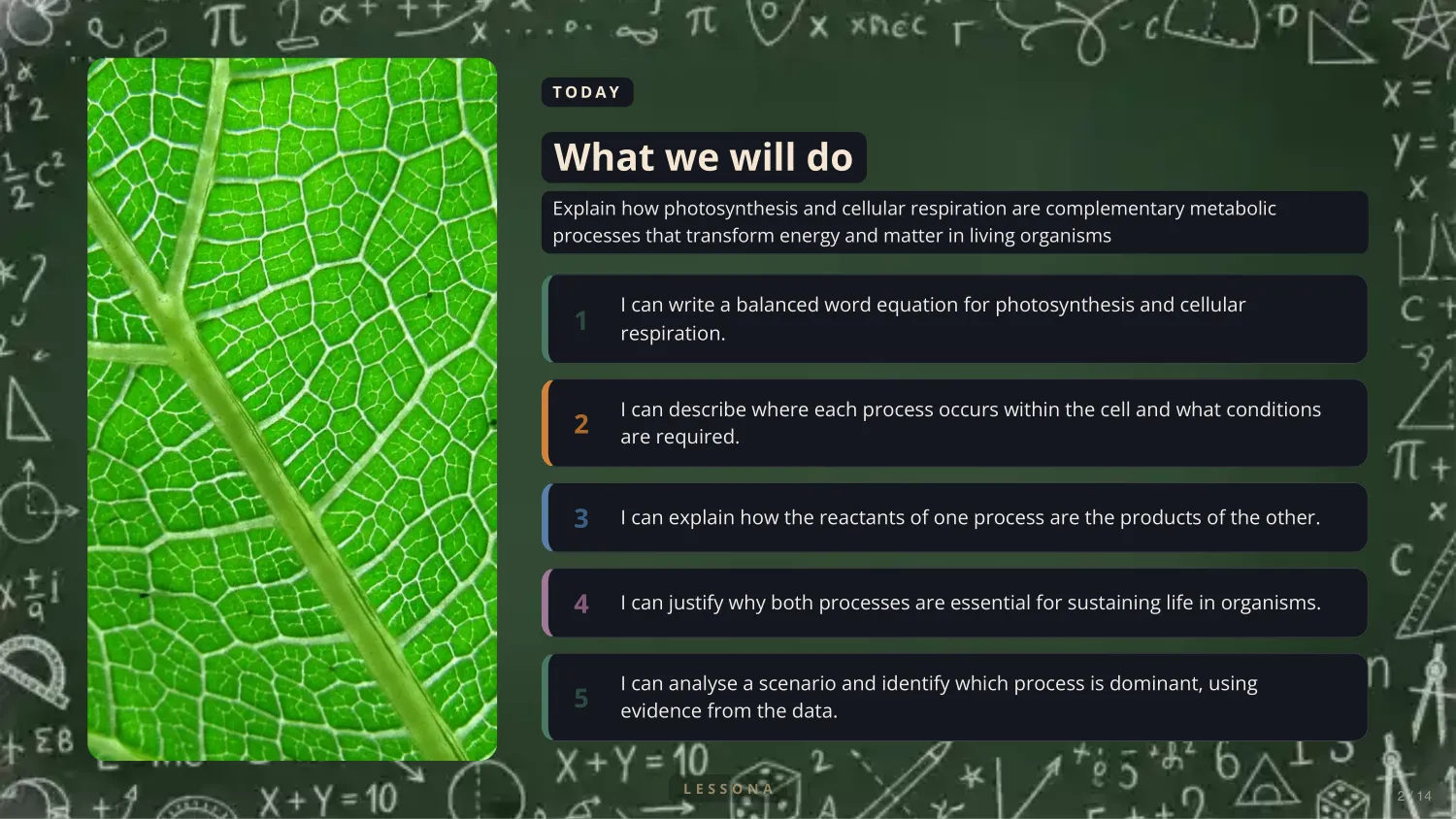 Photosynthesis and Cellular Respiration, slide 2