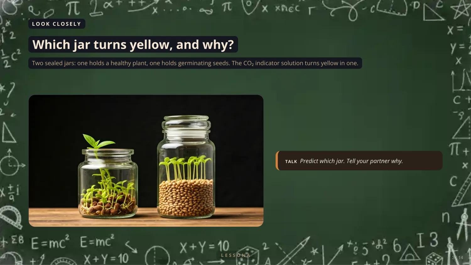 Photosynthesis and Cellular Respiration, slide 3