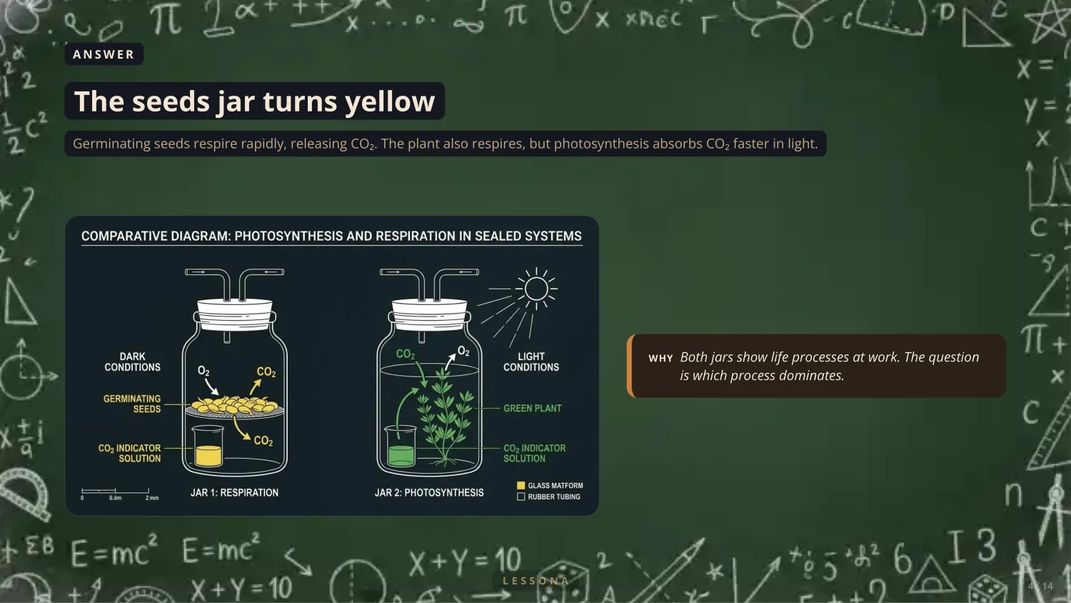 Photosynthesis and Cellular Respiration, slide 4