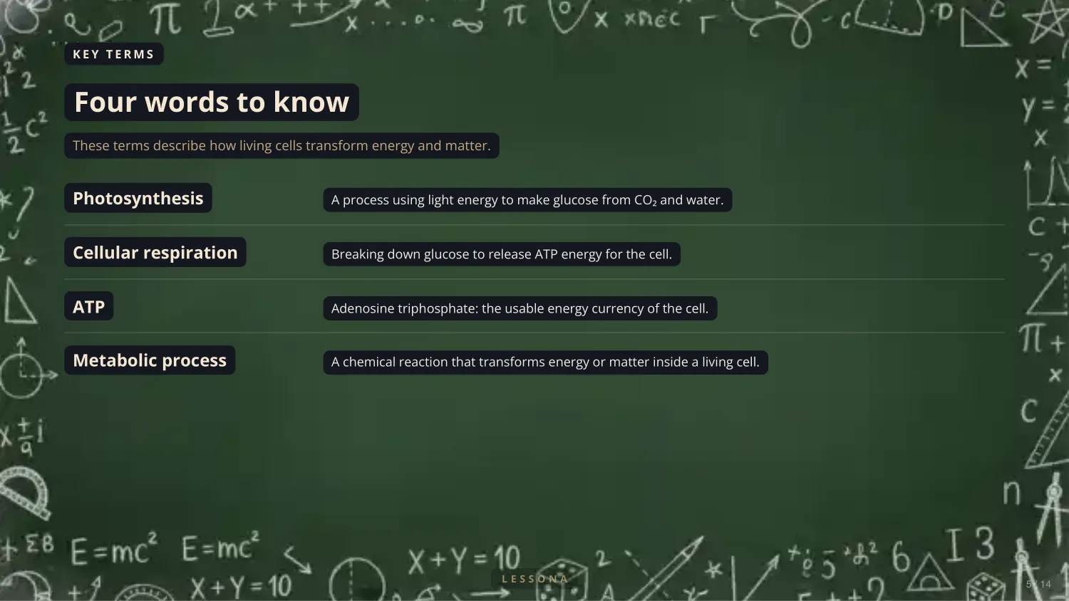 Photosynthesis and Cellular Respiration, slide 5