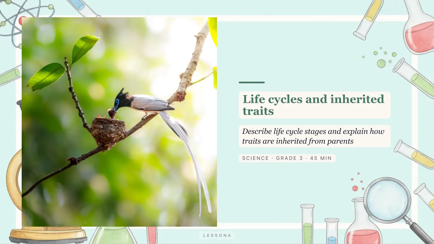 Life cycles and inherited traits presentation, Science · Grade 3 · 10 slides