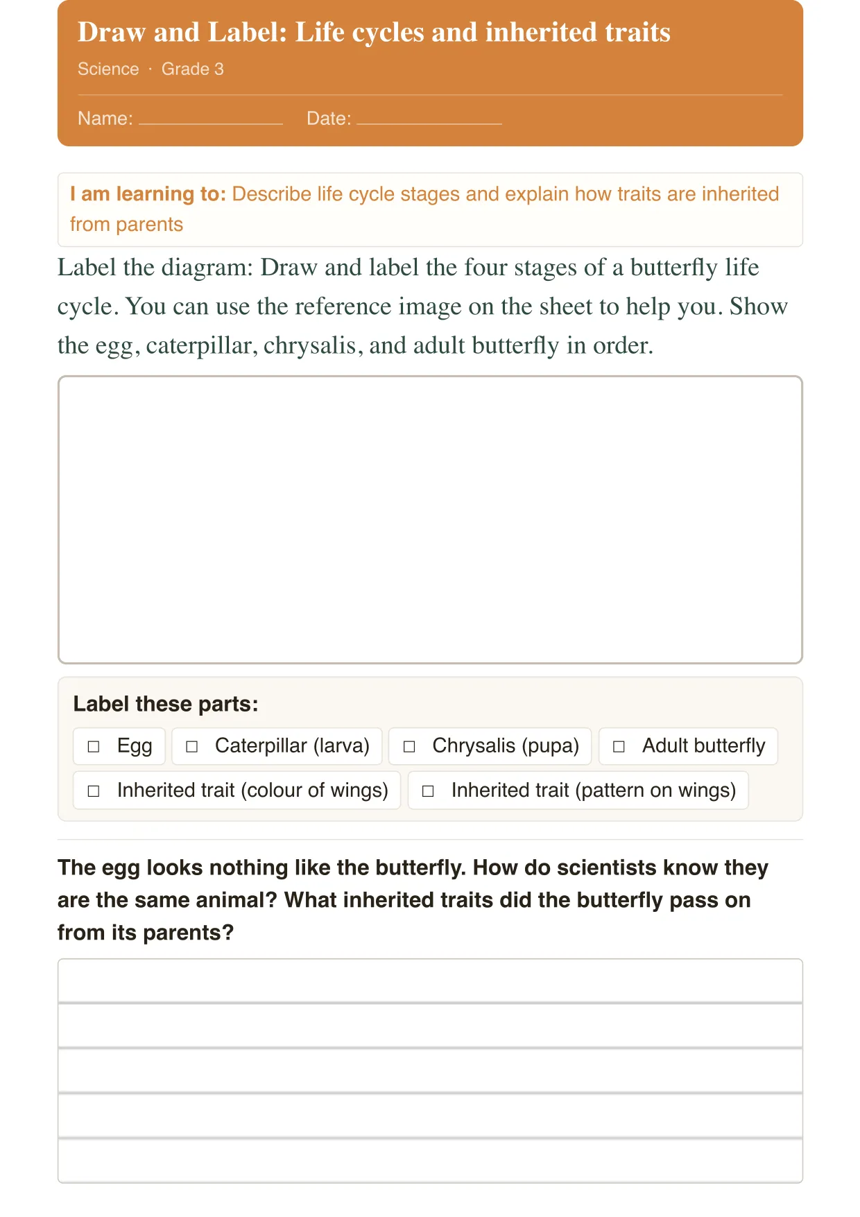 Label a Life Cycle, Science · Grade 3